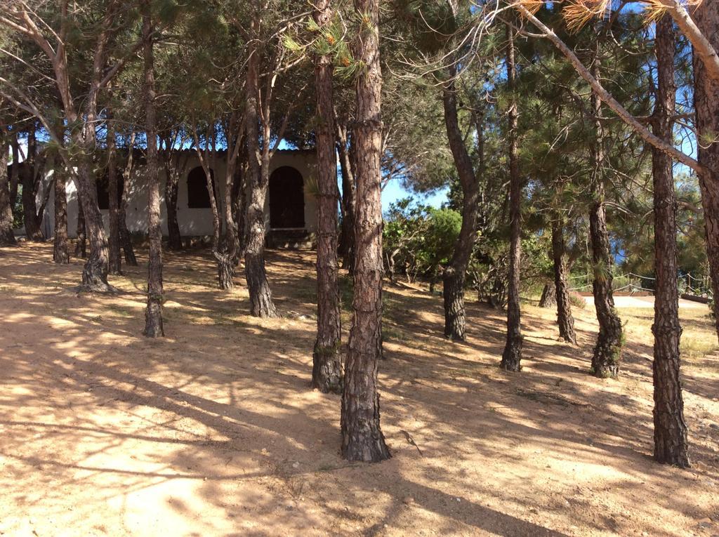 Villa Chia Aloe & Cactus Exterior foto