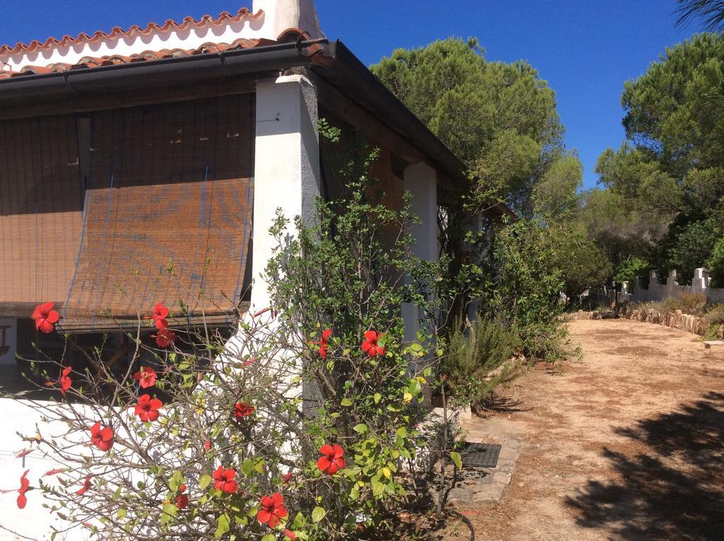Villa Chia Aloe & Cactus Exterior foto